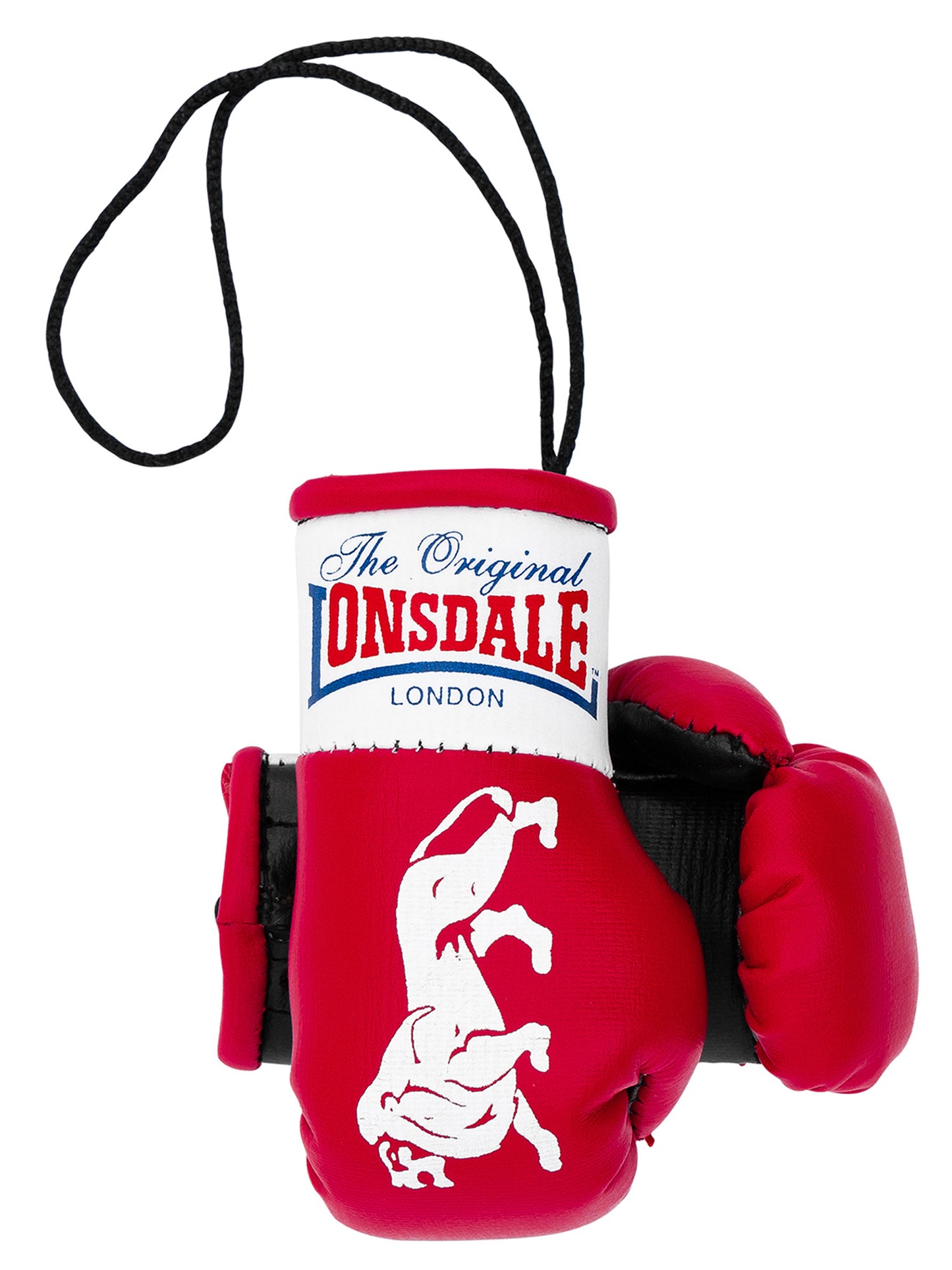 MINI BOXING GLOVES