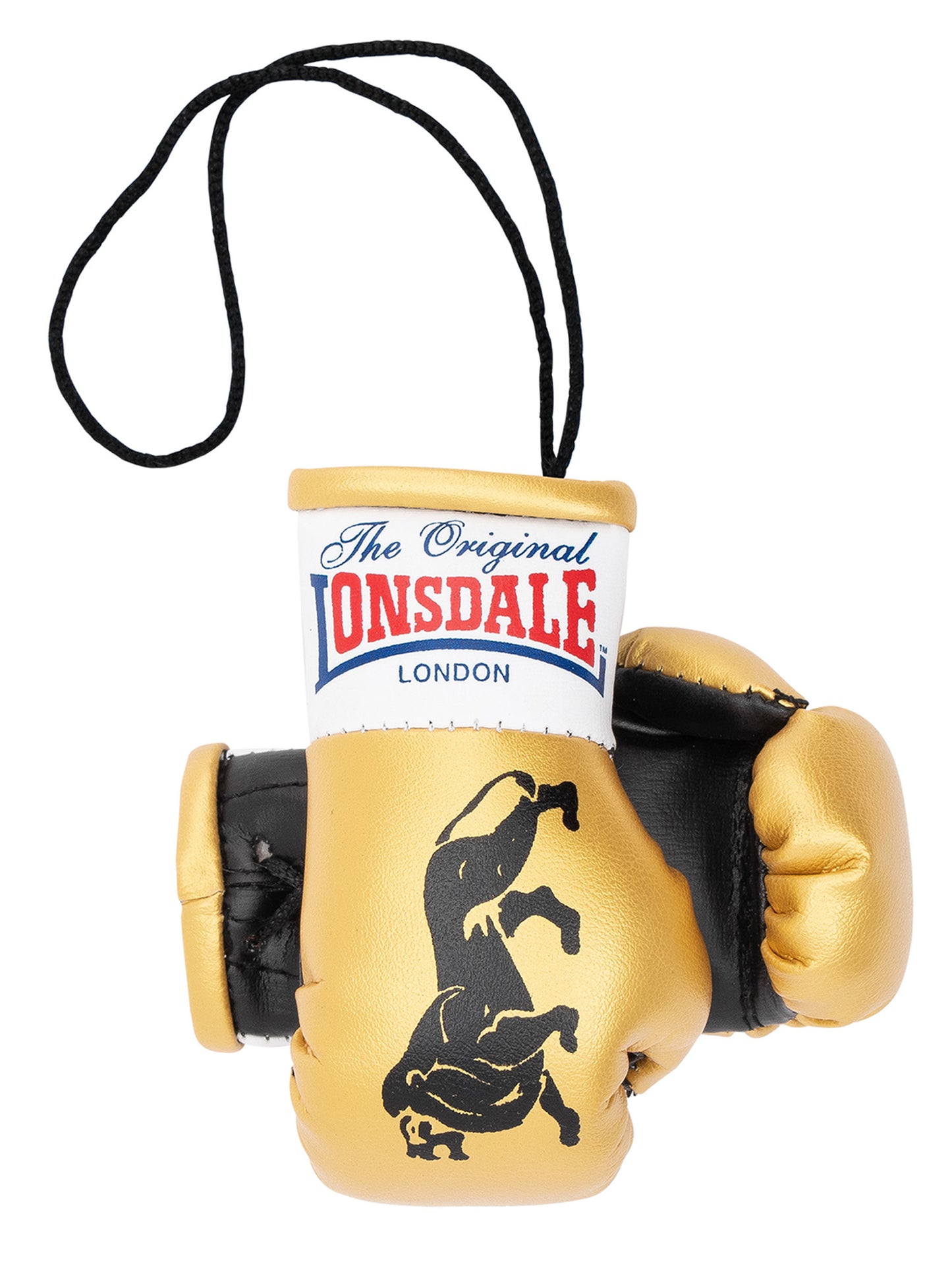MINI BOXING GLOVES