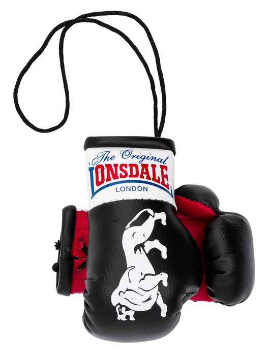 MINI BOXING GLOVES