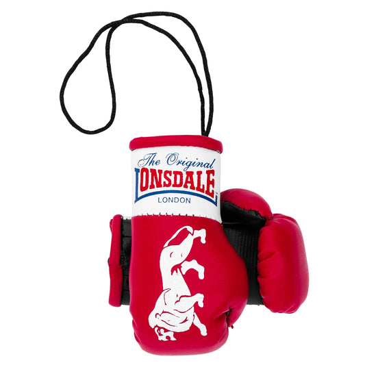 MINI BOXING GLOVES